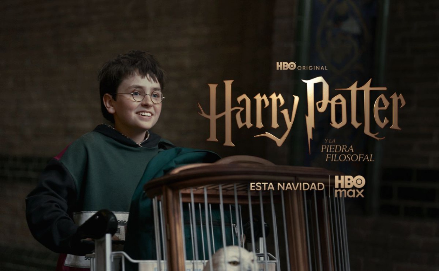 ¿Cuándo se estrena la serie de Harry Potter?